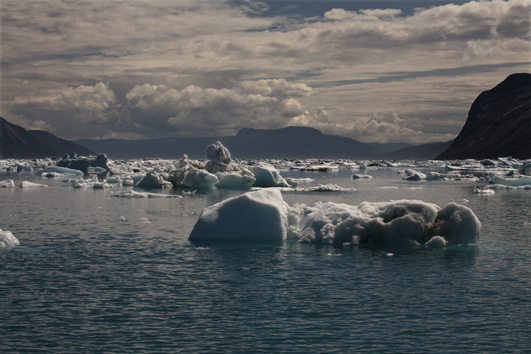 Ice1