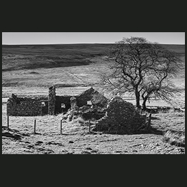 Thurso Countryside
