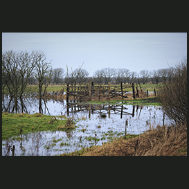 Lille Vildmose, Himmerland