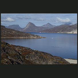 Sydgrønland