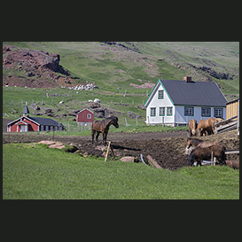 South Greenland