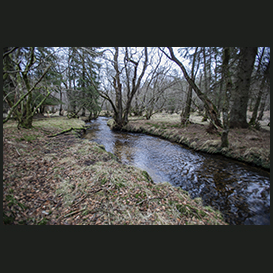 Lindenborg River