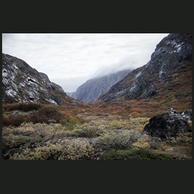 Paradisdalen Narsaursuq