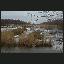 Østhimmerland