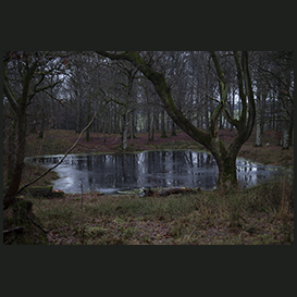 Skovrejsning Østhimmerland