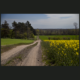 Landbrugsstrukturen