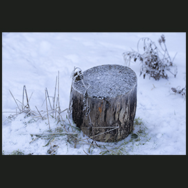 Vinter Østhimmerland