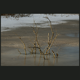 Østhimmerland vinter
