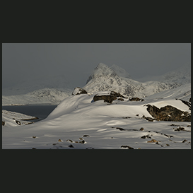 Qaqortoq