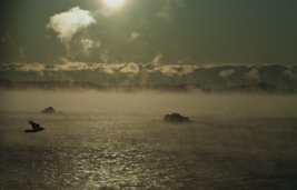 Sea Smoke II