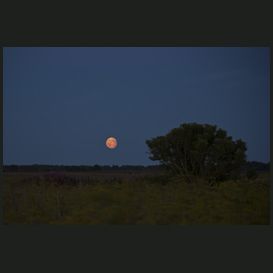 full moon