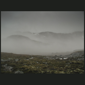 Hills and fog