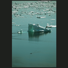 Kayak
