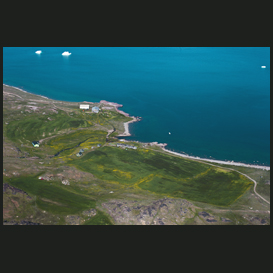 Arctic agriculture