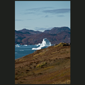 Narsaq fiord