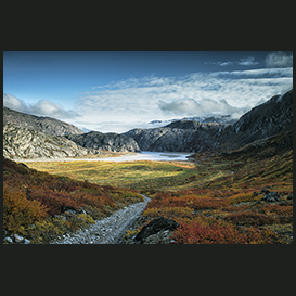 Flower Valley, Narsarsuaq, South Greenland