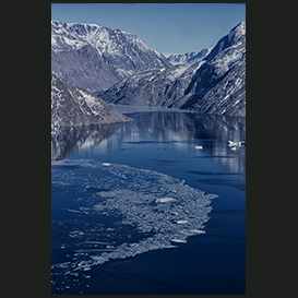 Fiord near Narsarsuaq, South Greenland