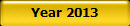 Year 2013